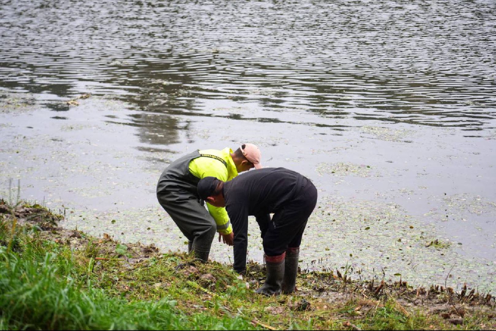 Парки МО, Парки Подмосковья, Лесопарк, Загорское море, Сергиев Посад, Экология, Очистка прудов и озер,