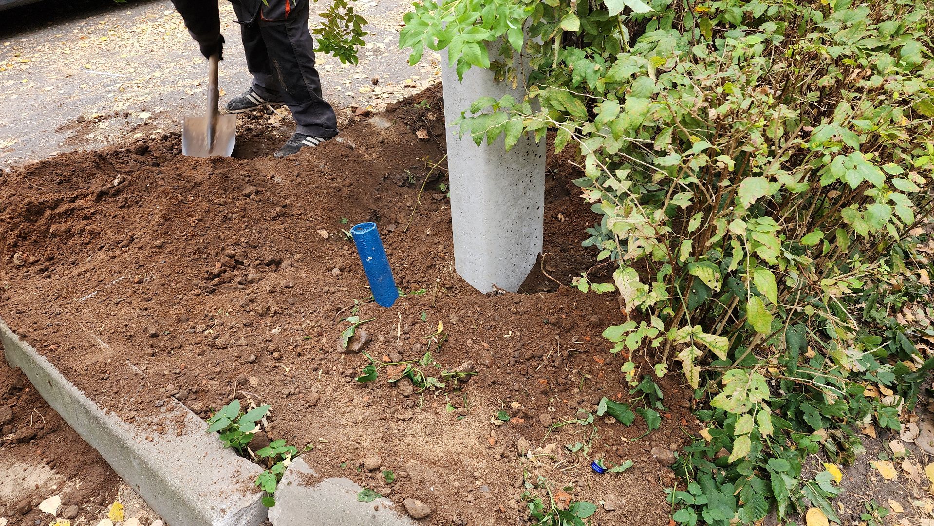 пушкино, опоры уличного освещения, светильник, комплексное благоустройство, электросети,