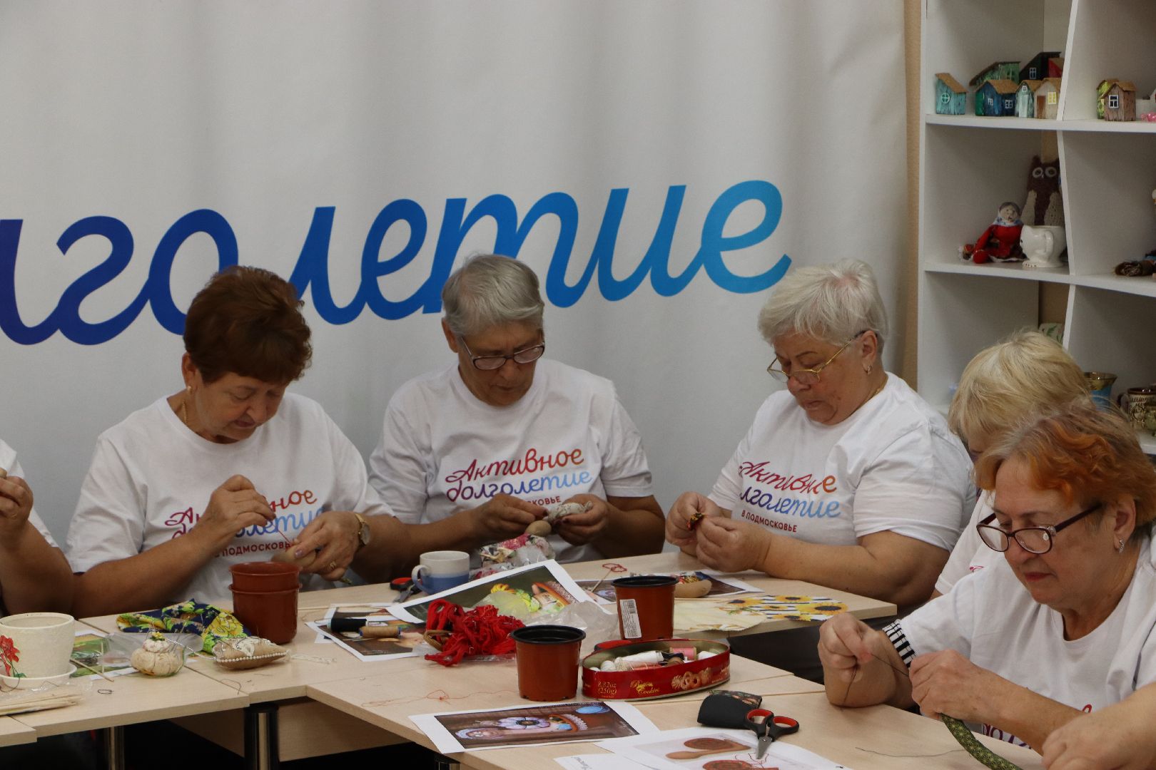 Серебряные Пруды, социальная защита,