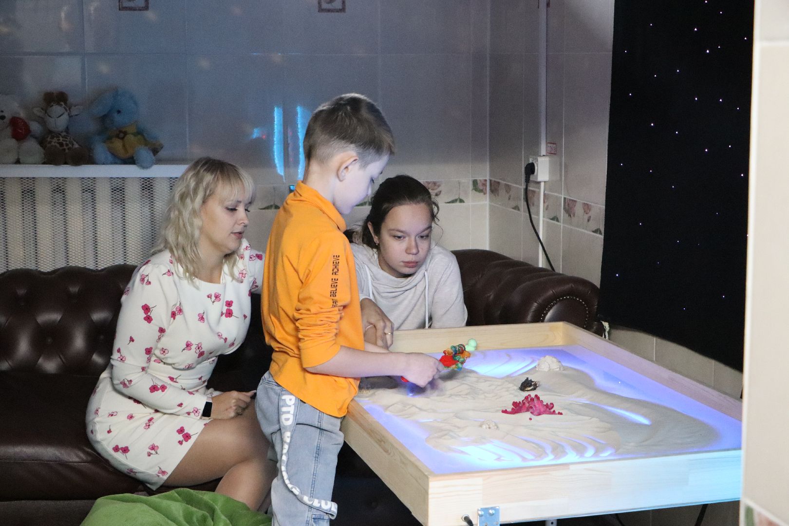 Серебряные Пруды, социальная защита,