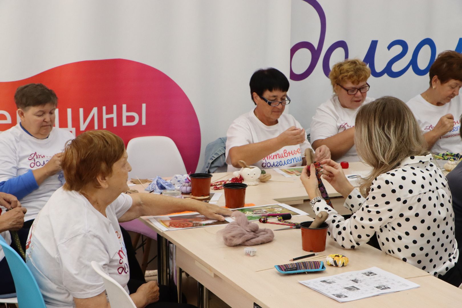 Серебряные Пруды, социальная защита,