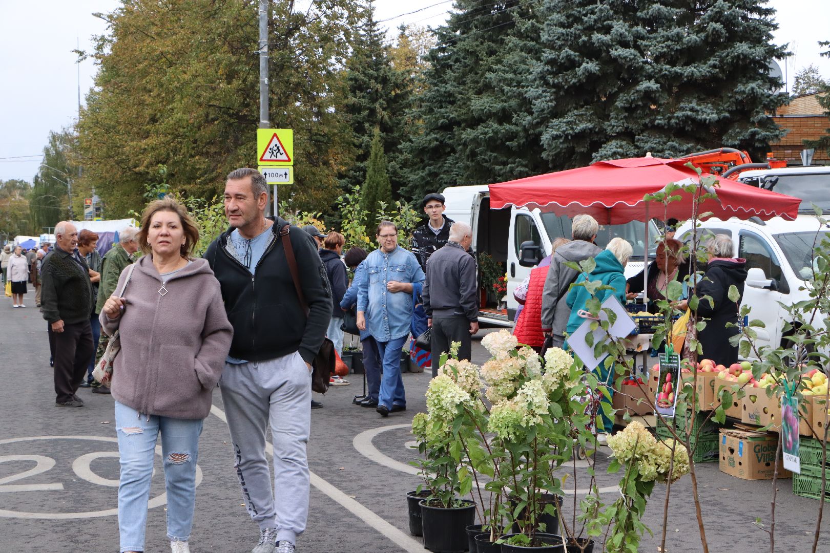 Сельское хозяйство, Серебряные Пруды, ярмарка, Дары Подмосковья,