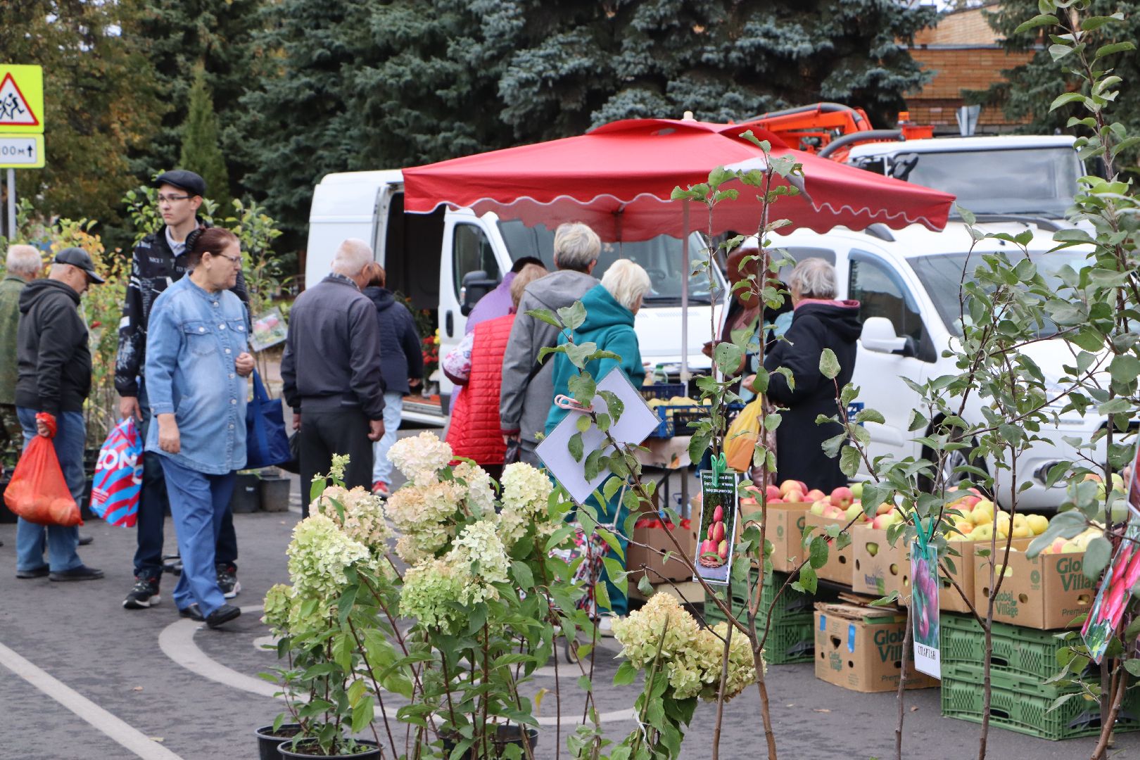 Сельское хозяйство, Серебряные Пруды, ярмарка, Дары Подмосковья,