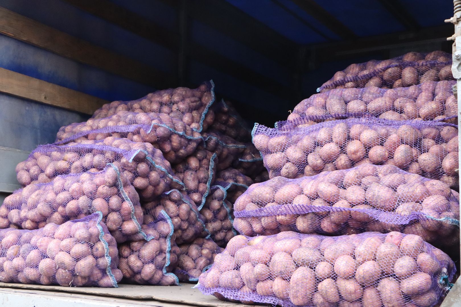 Сельское хозяйство, Серебряные Пруды, ярмарка, Дары Подмосковья,