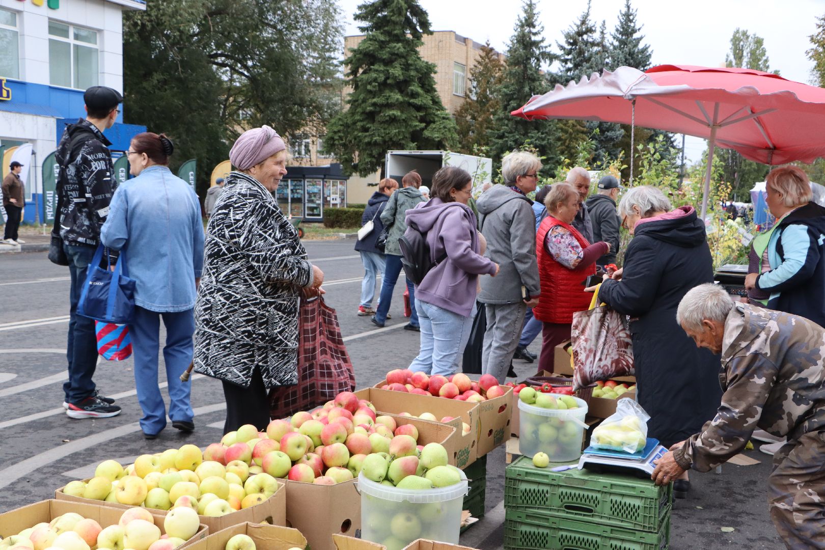 Сельское хозяйство, Серебряные Пруды, ярмарка, Дары Подмосковья,