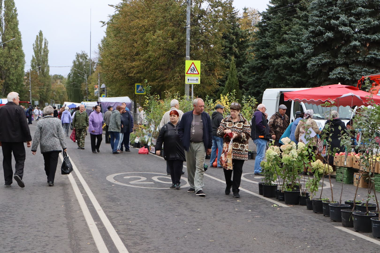 Сельское хозяйство, Серебряные Пруды, ярмарка, Дары Подмосковья,