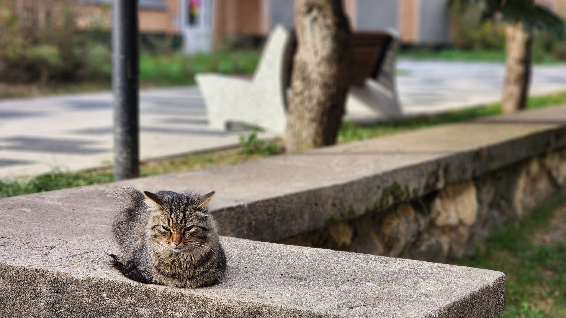 пешеходная улица на ленина, протвино, благоустройство, установка МАФов, комфорт,