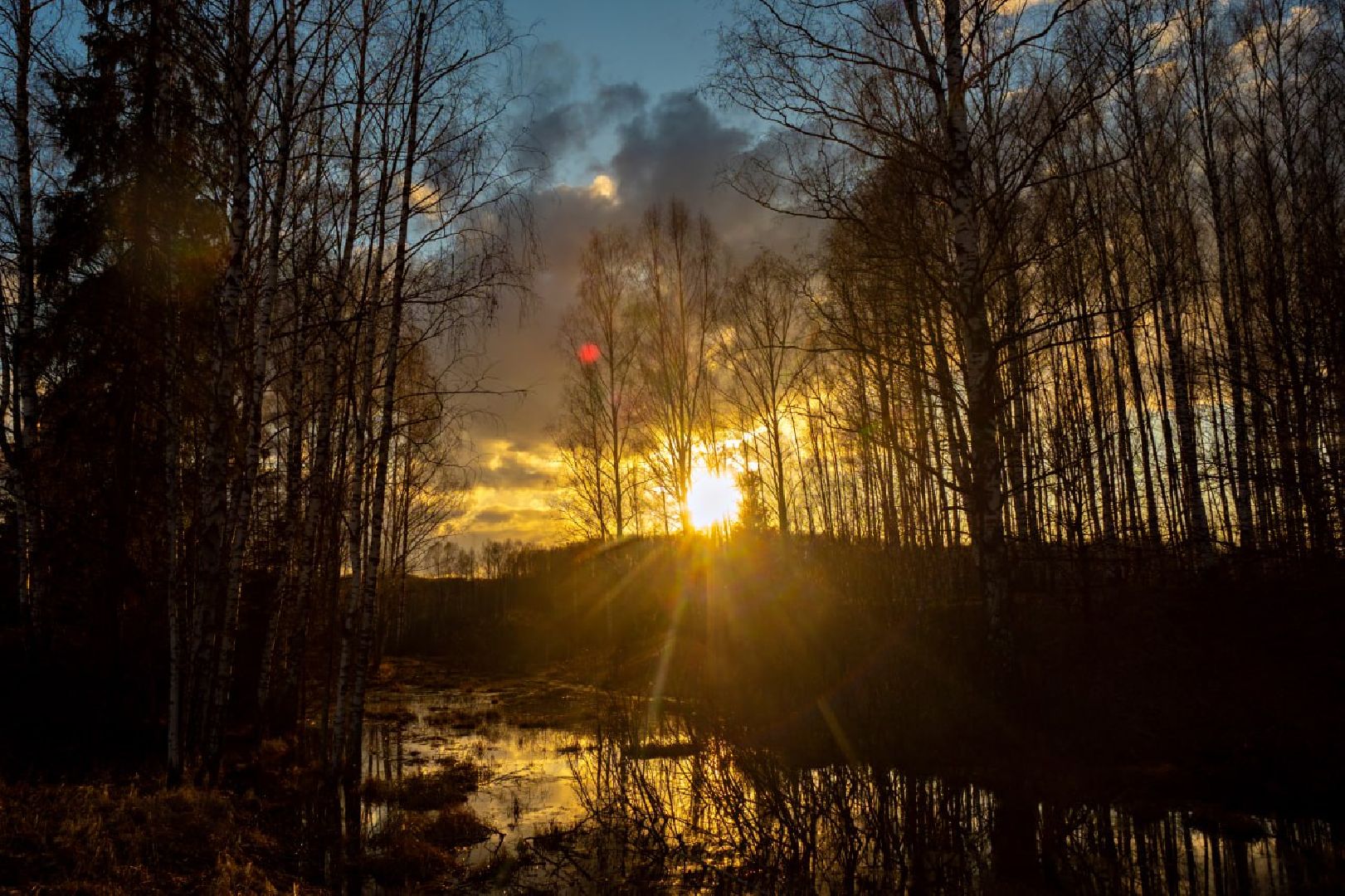 Сергиев Посад, Сергиево-Посадский городской округ, Экология, Весна, Природа