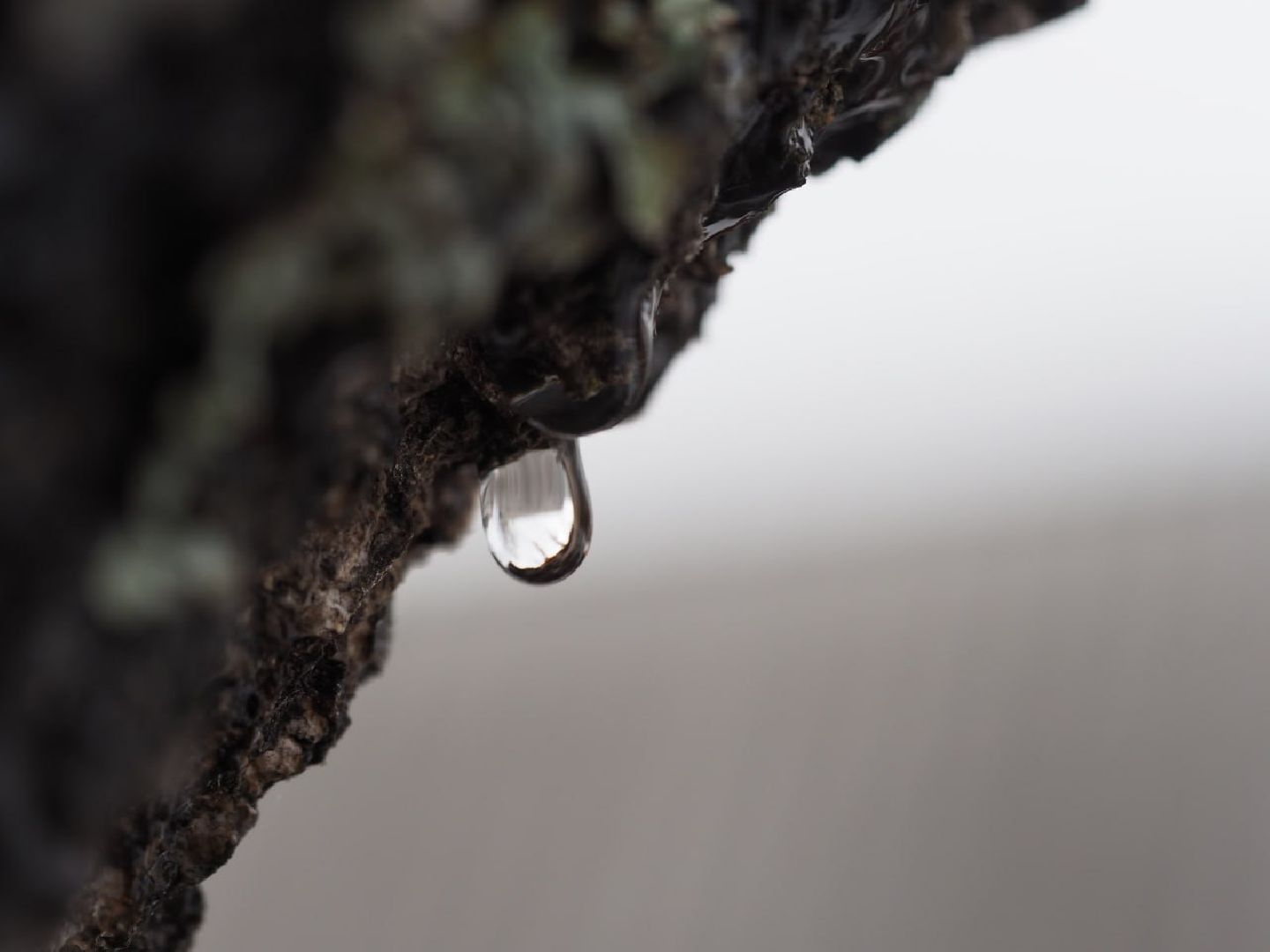 Сергиев Посад, Сергиево-Посадский городской округ, Экология, Весна, Природа