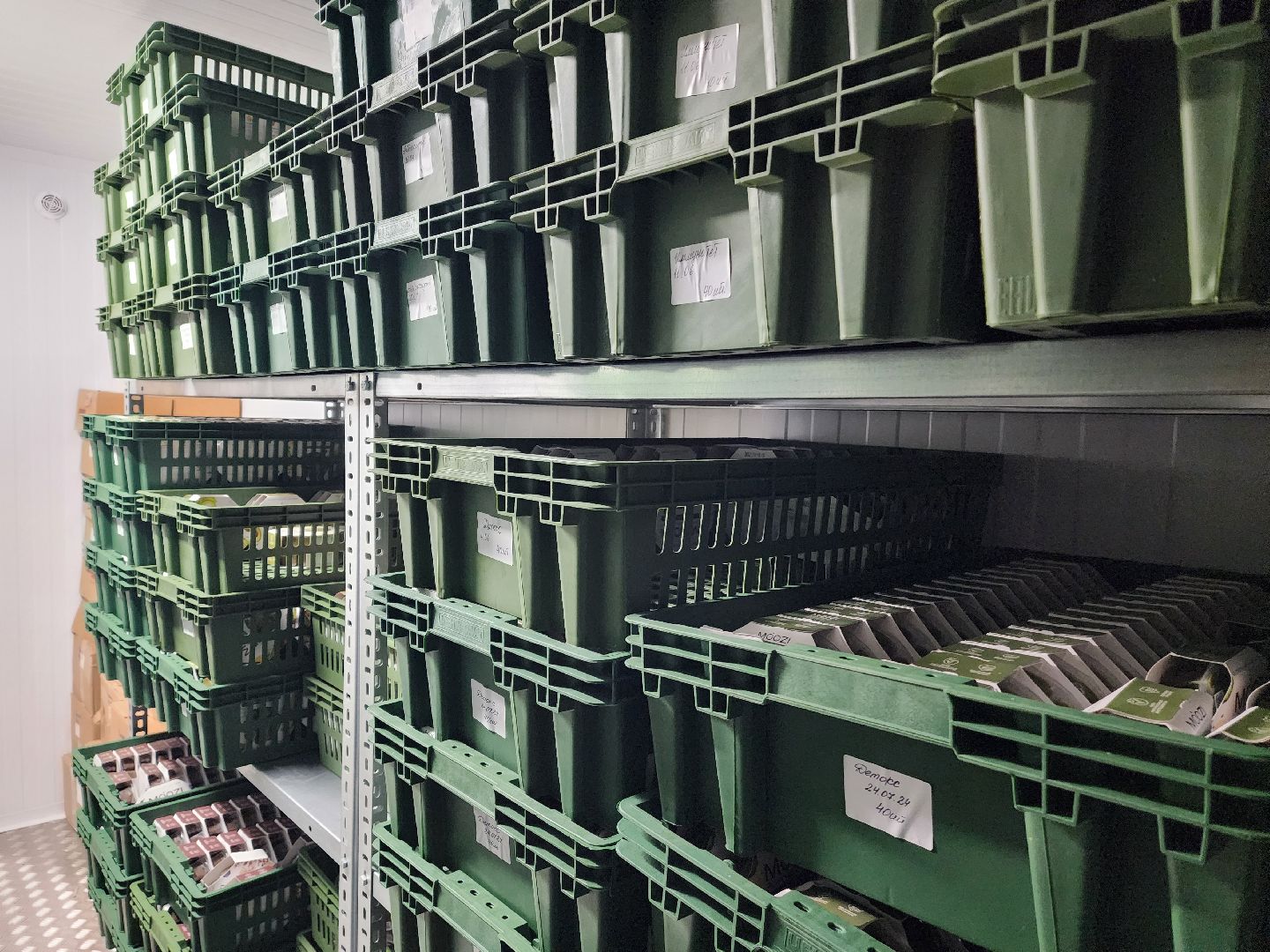 красноармейск, городской округ пушкинский, инвестиции, производство смузи,