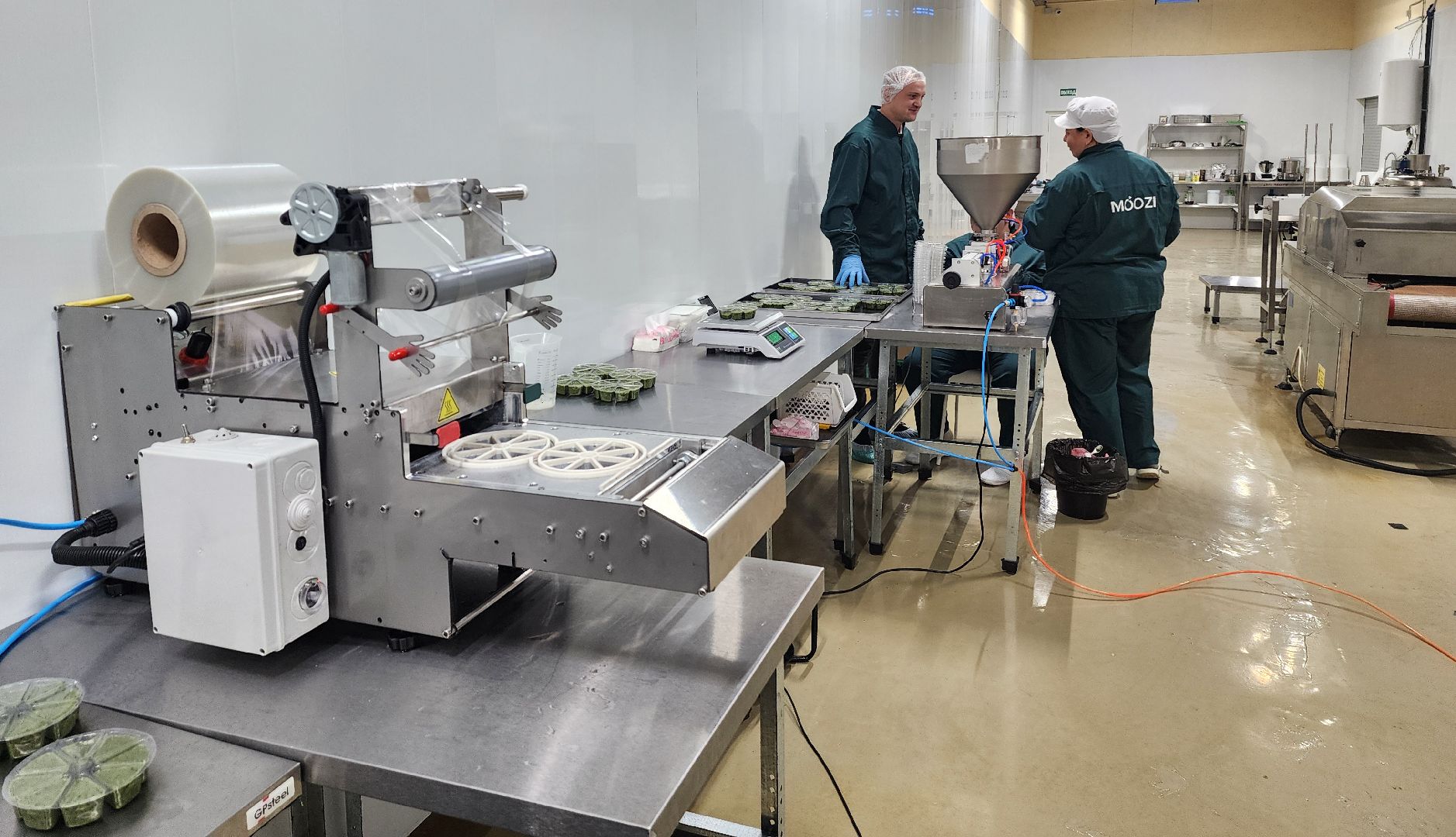 красноармейск, городской округ пушкинский, инвестиции, производство смузи,