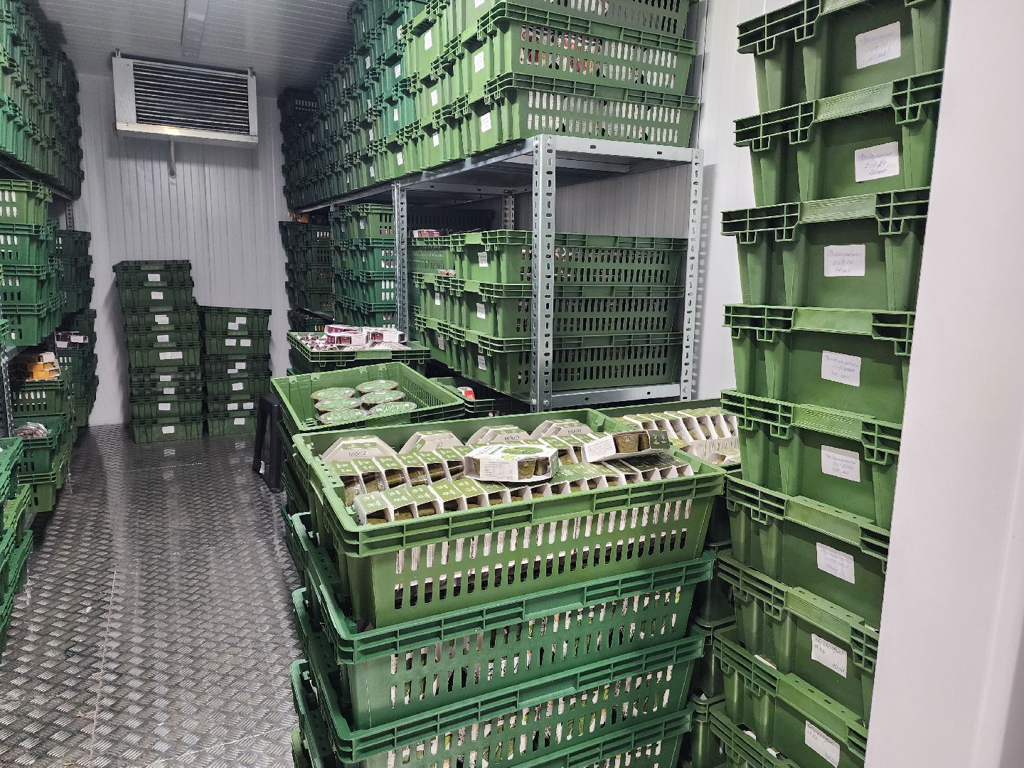 красноармейск, городской округ пушкинский, инвестиции, производство смузи,