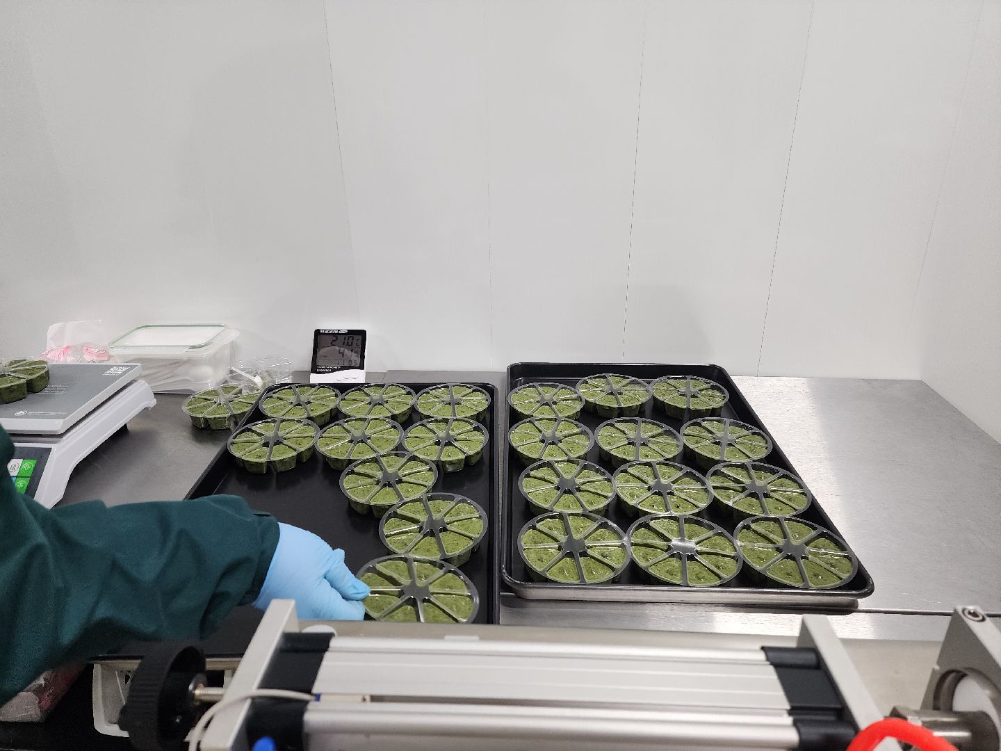 красноармейск, городской округ пушкинский, инвестиции, производство смузи,