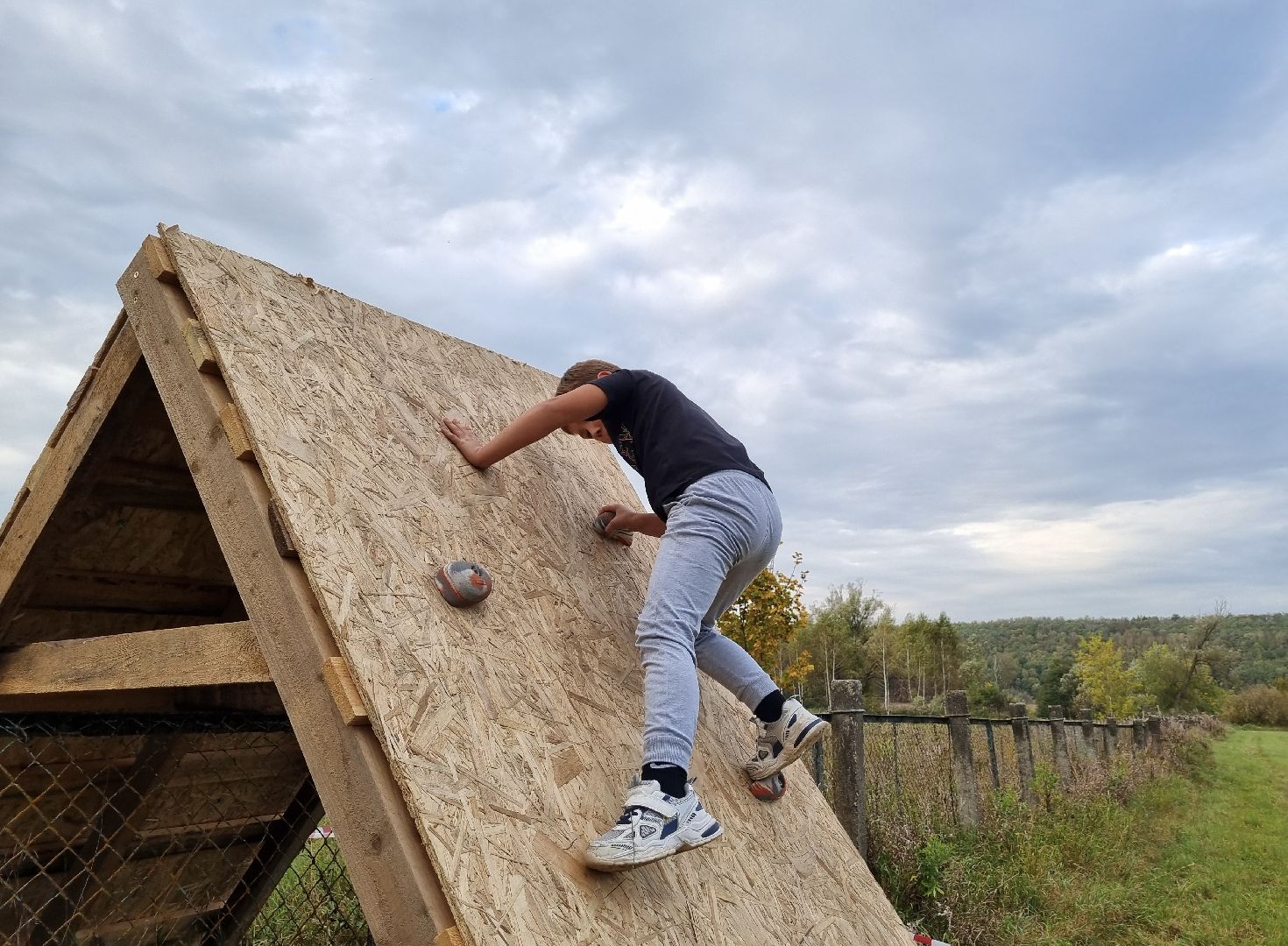 Луховицы, Стальная птица, Спорт, Открытый забег, забег с препятствиями,