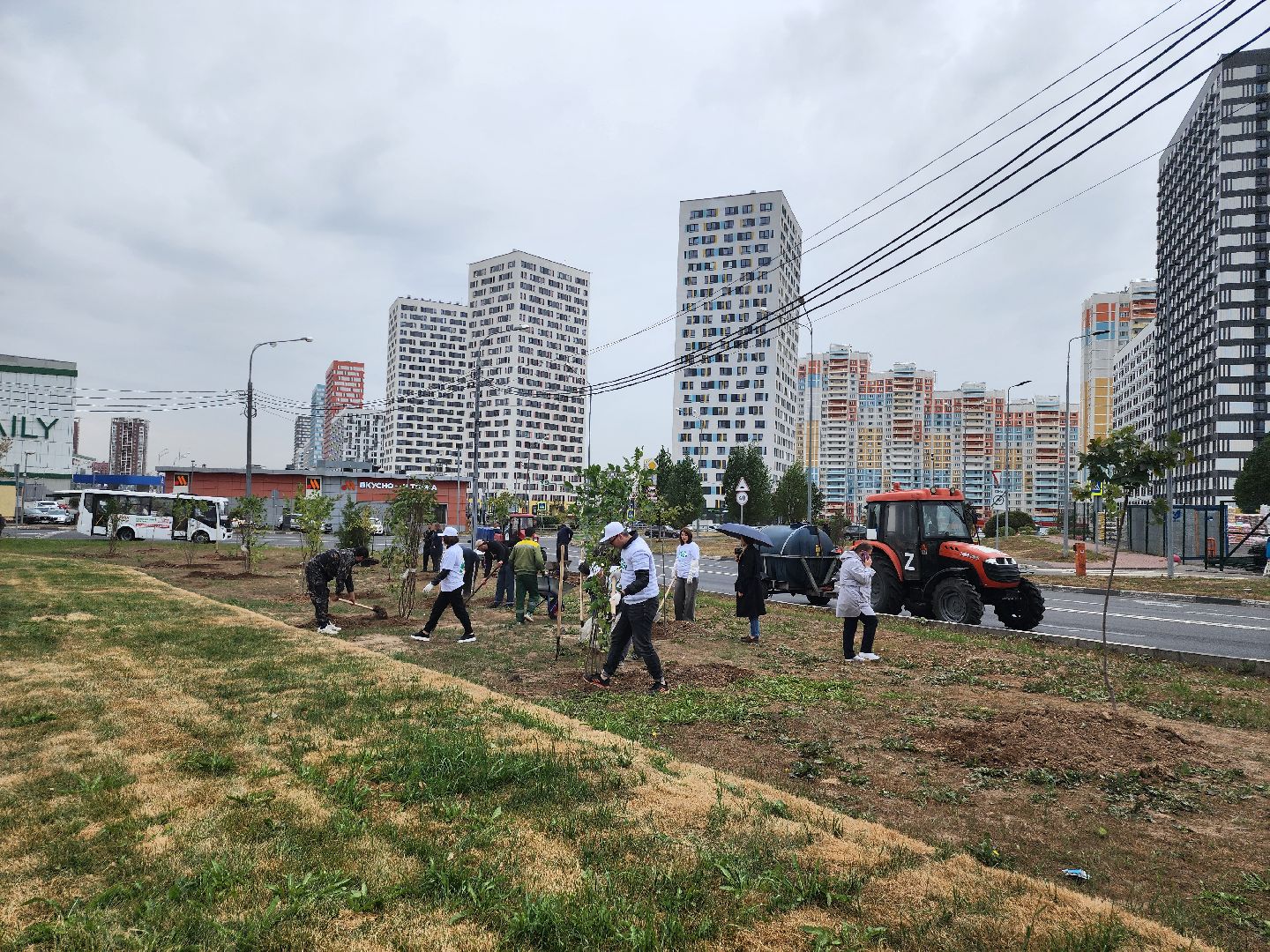 высадка деревьев,