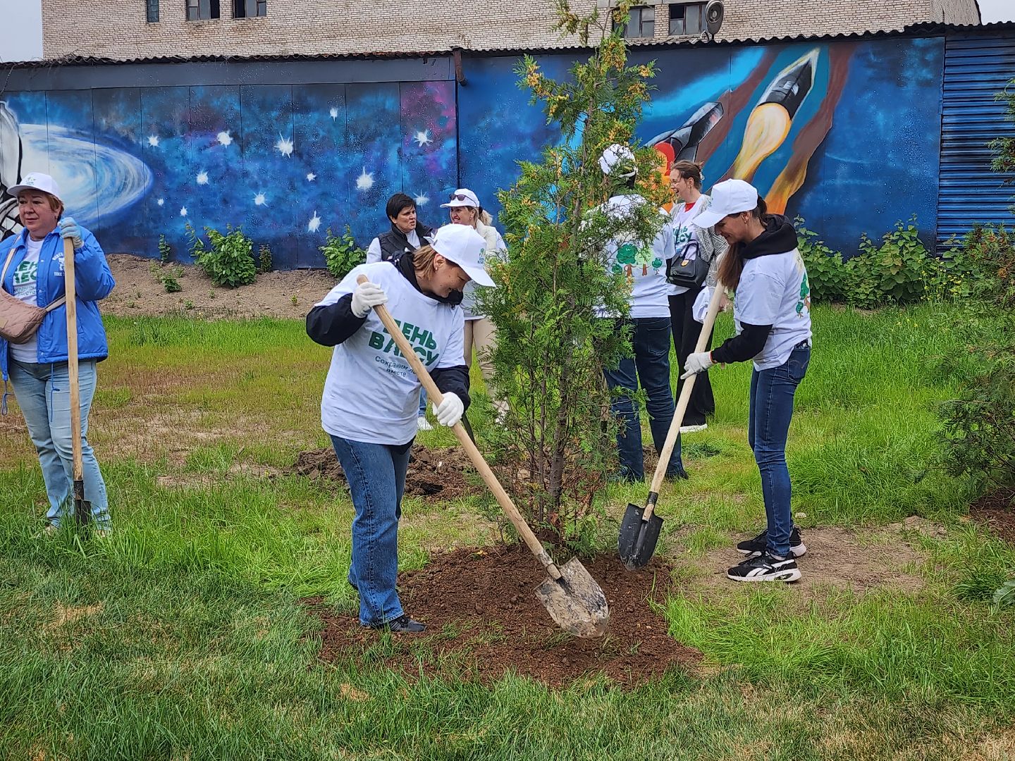 высадка деревьев,