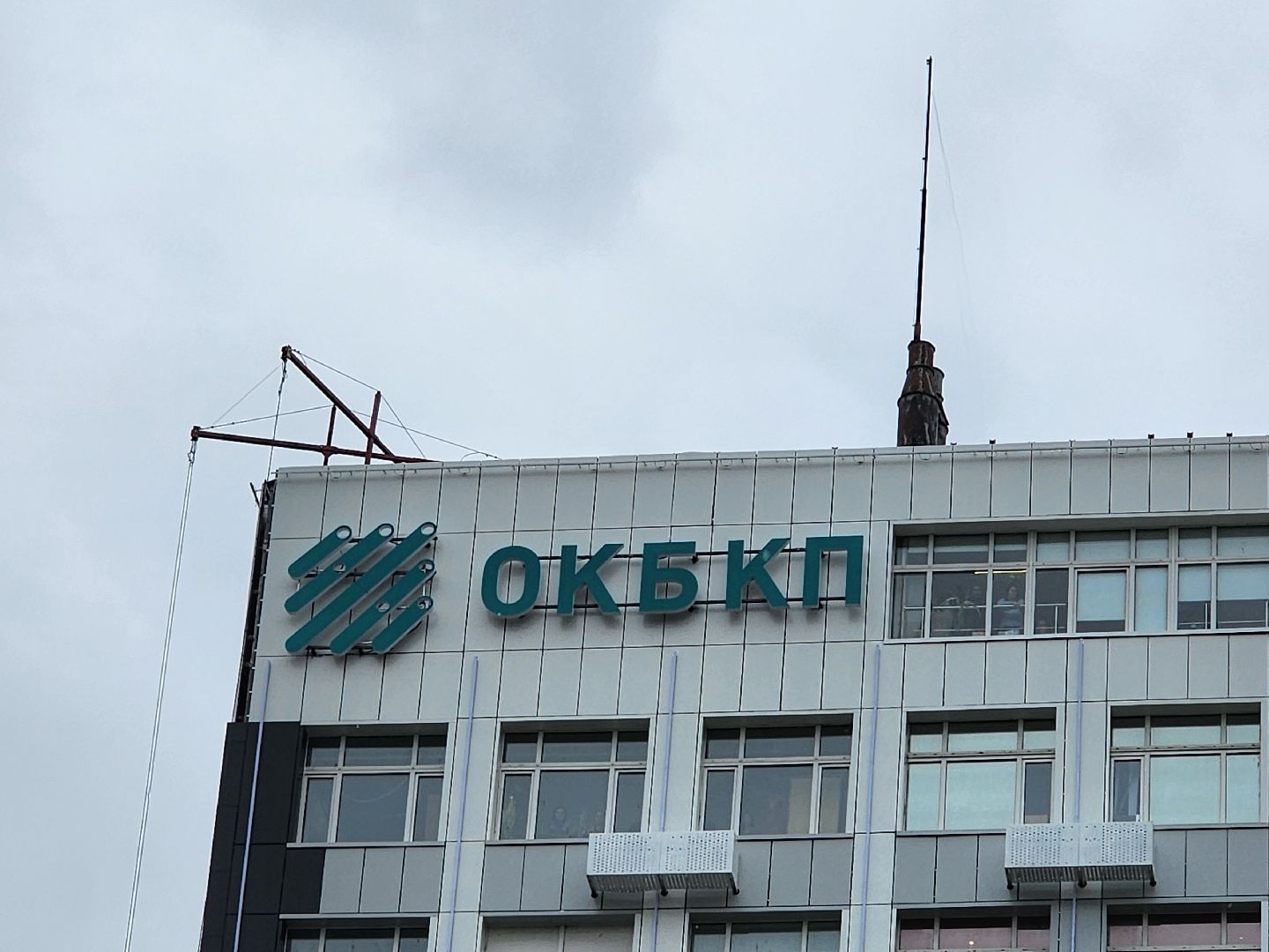 высадка деревьев,