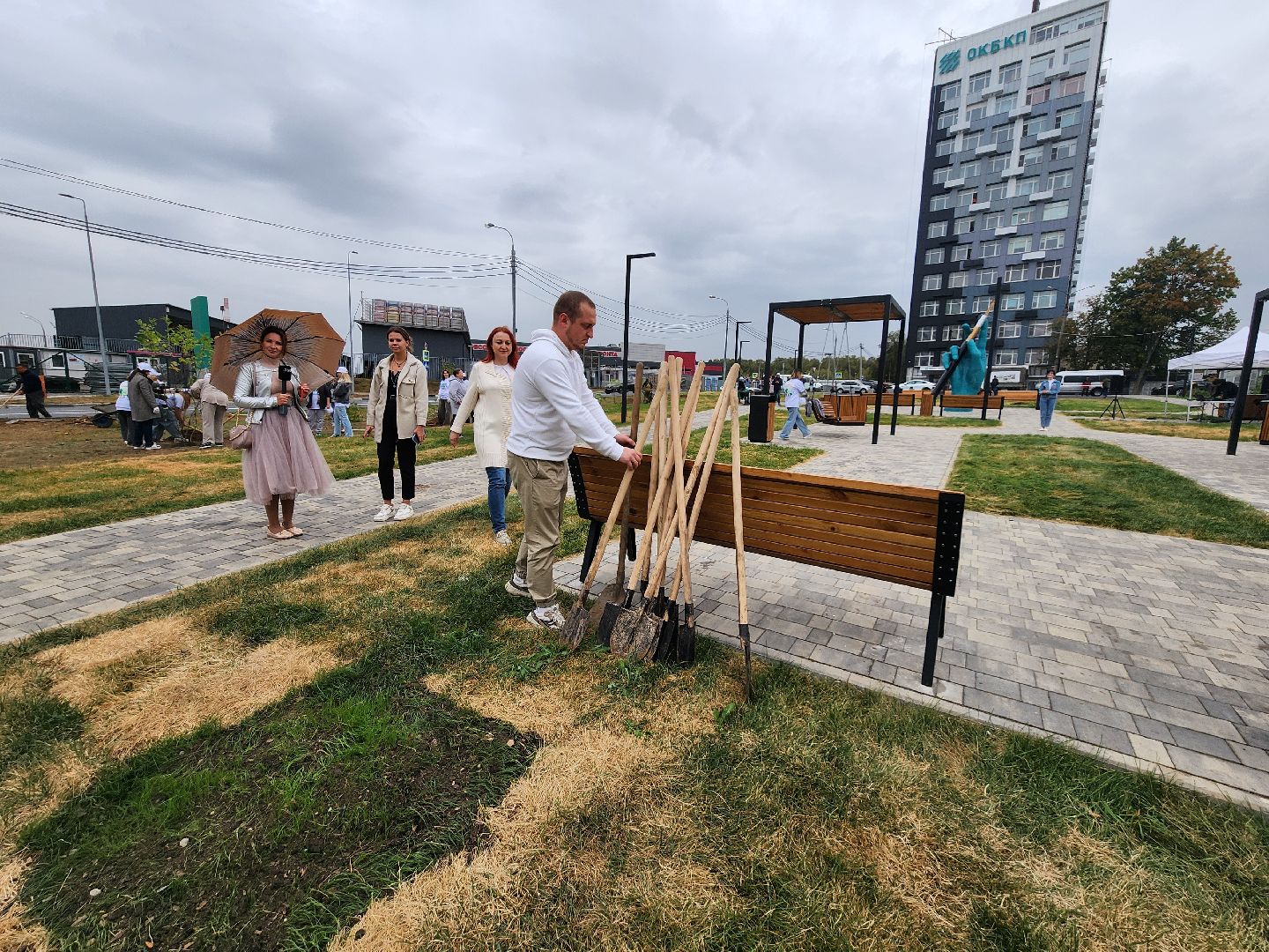 высадка деревьев,