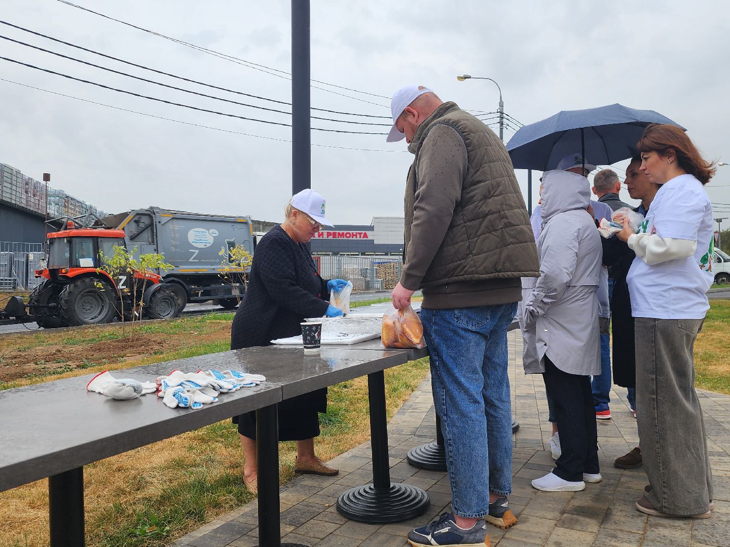 высадка деревьев,