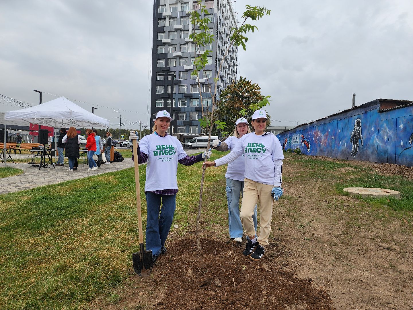 высадка деревьев,