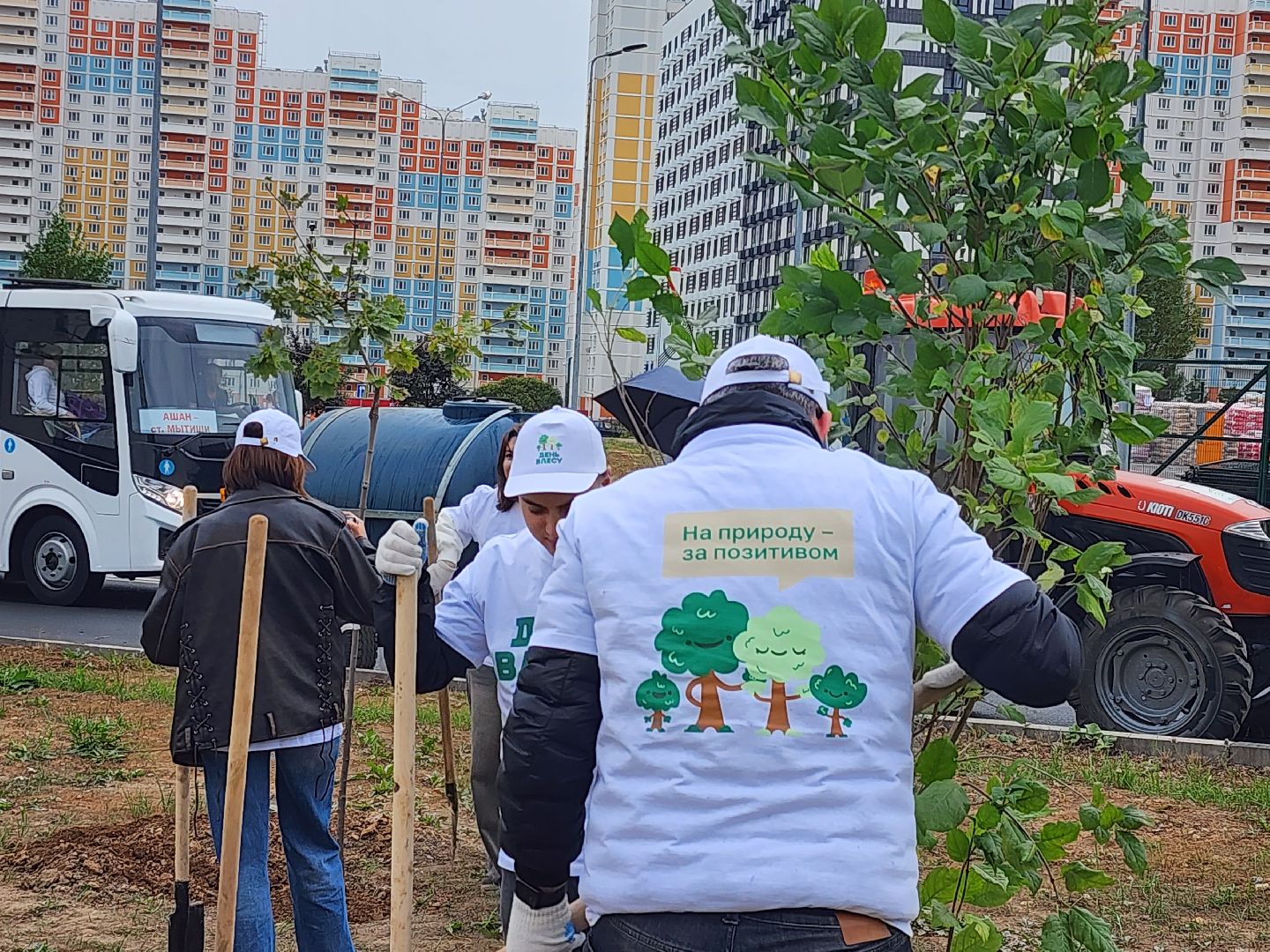 высадка деревьев,