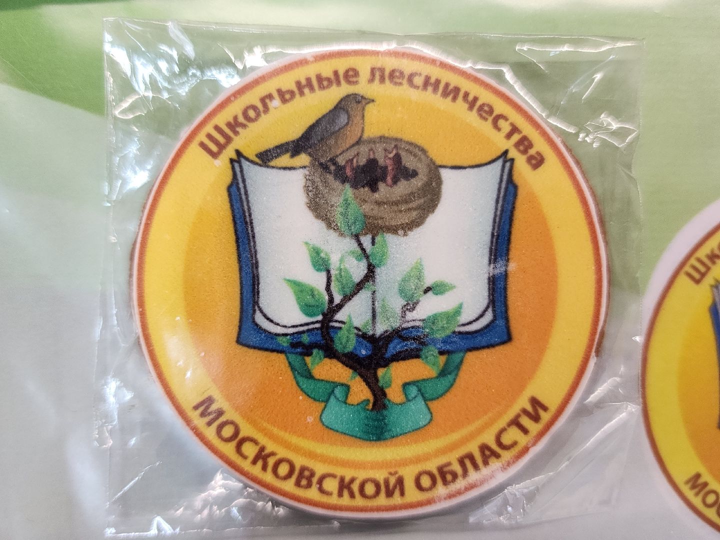 волоколамск, школьное лесничество, Слт школьных лесничеств, экология,