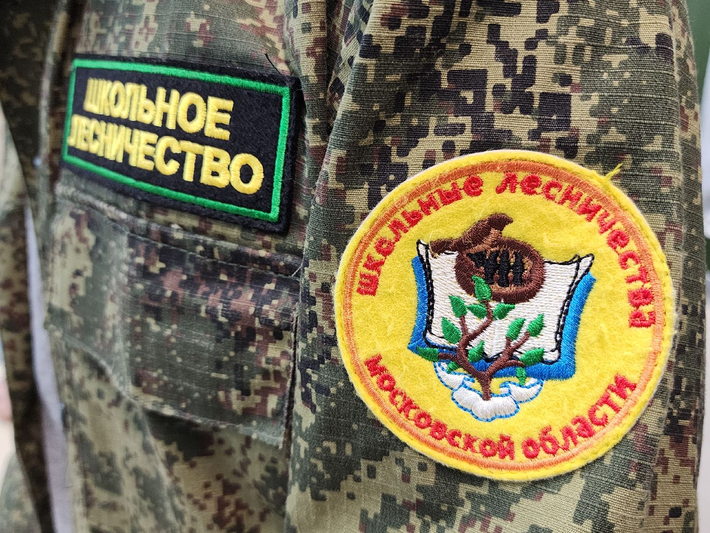 волоколамск, школьное лесничество, Слт школьных лесничеств, экология,