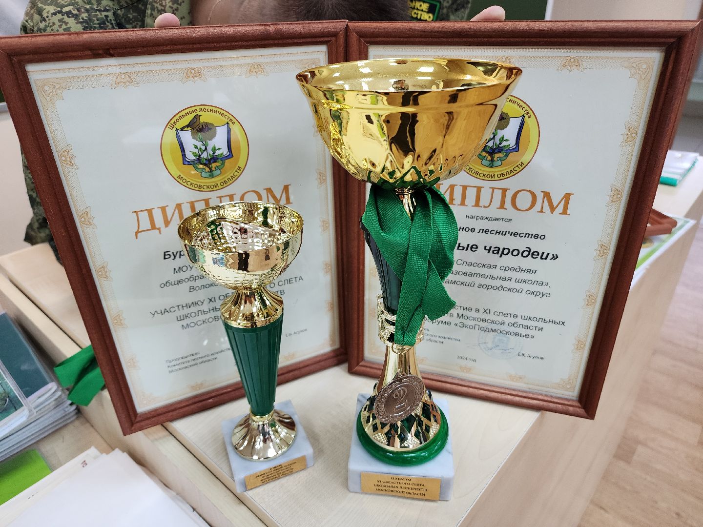 волоколамск, школьное лесничество, Слт школьных лесничеств, экология,