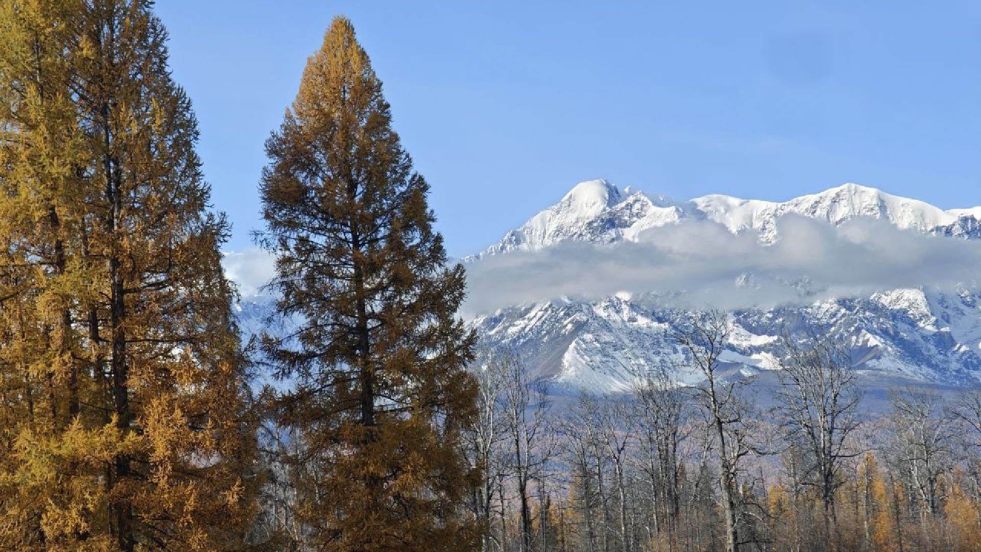 Подольск, Ясенки, Алтай, адаптивный туризм, реабилитация участников сво,