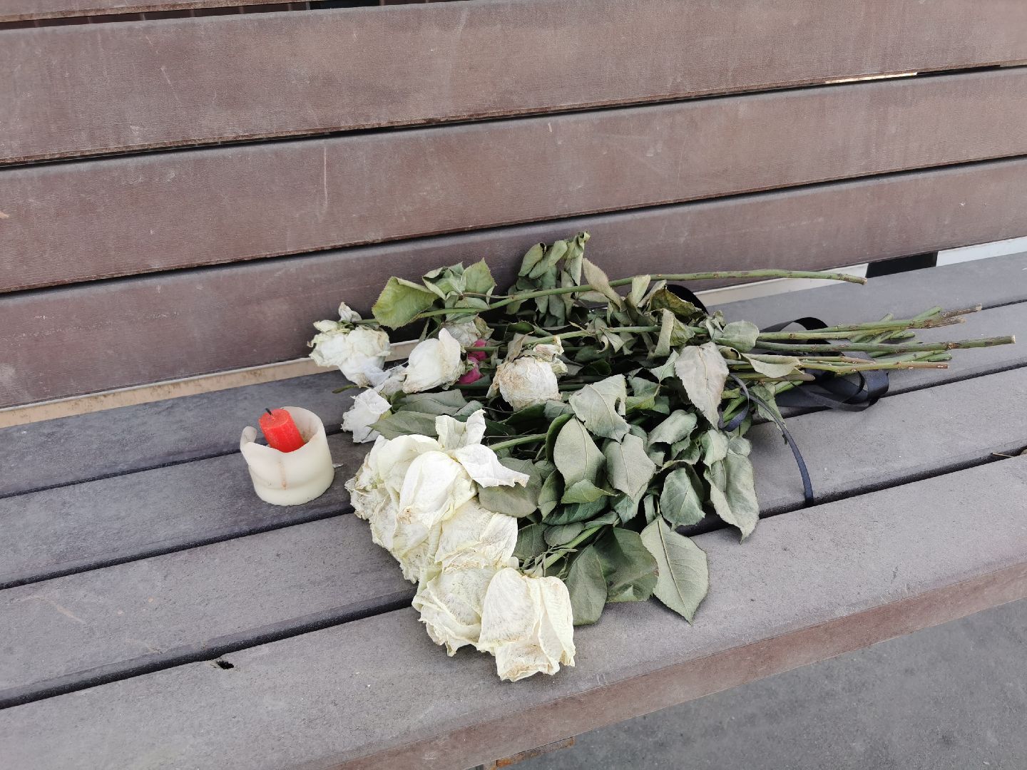 дороги, транспорт, безопасность