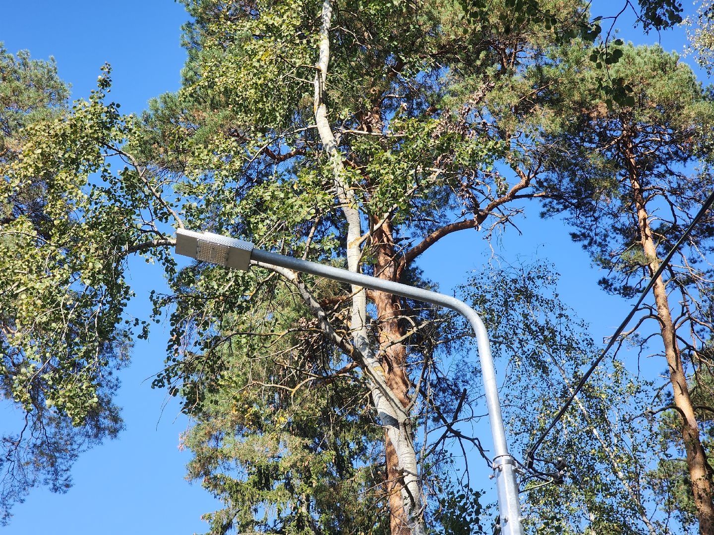 светлый город, орехово-зуевский округ,