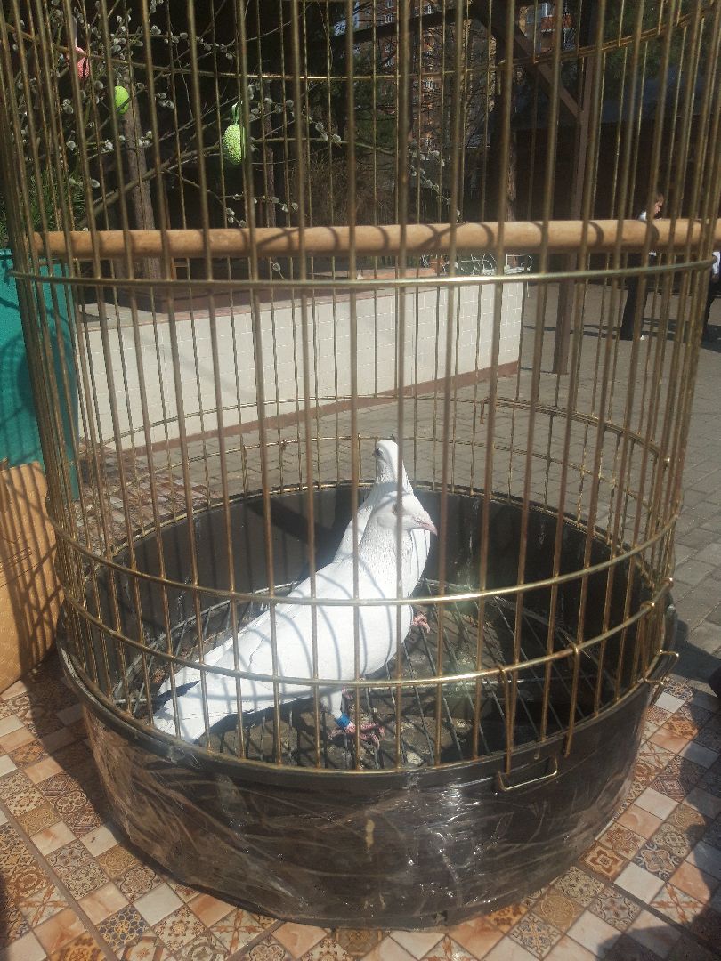 дети, праздники,