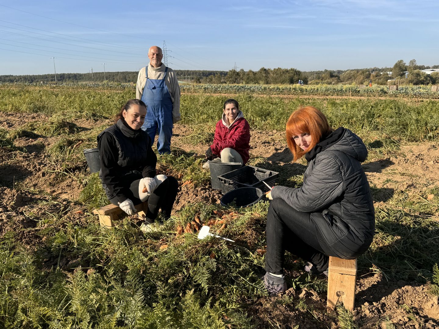 ВНИИССОК, Федеральный центр овощеводства, Селекционеры Одинцова,