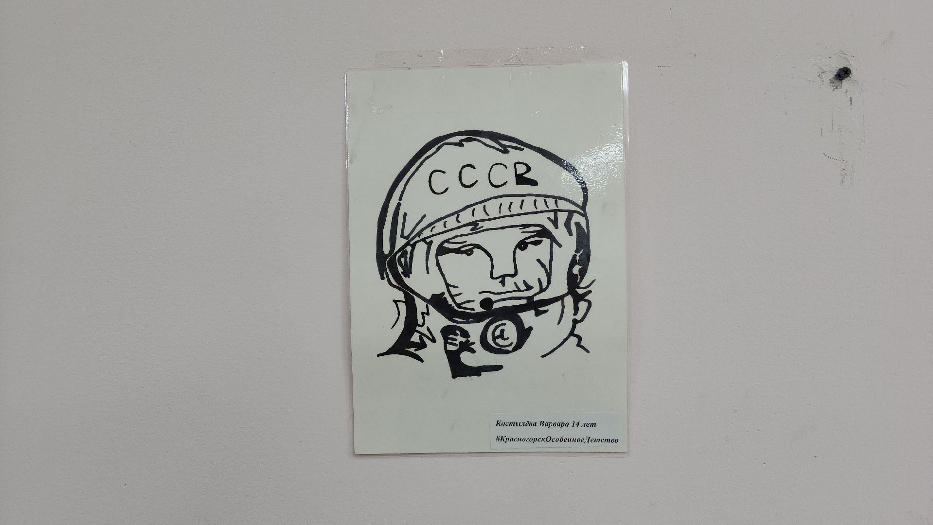 красногорск, инвалиды, социализация,