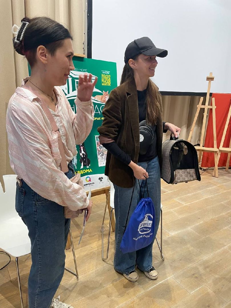 благотворительая акция, бездомные животные, пристройство, кошки, собаки, волонтерство, приют для животных,добрые дела,