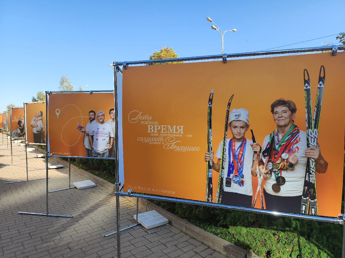 активное долголетие, одинцово, живем ярко, минсоцразвития,