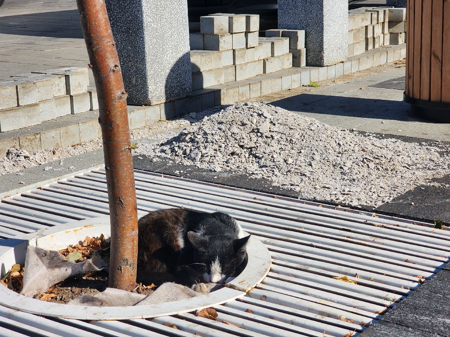 Зарайск, благоустройство, уличное освещение,