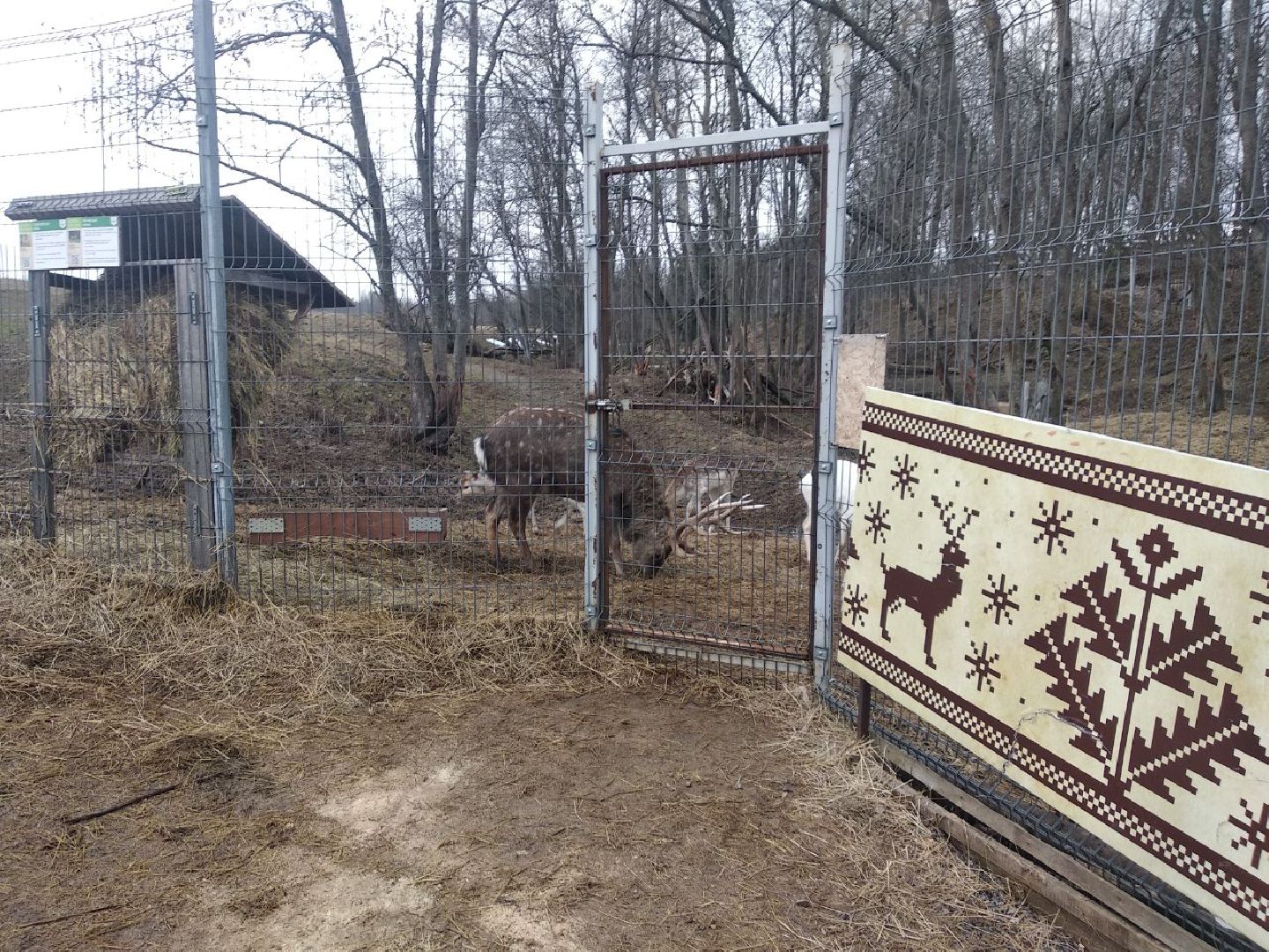 Дмитров, зооферма Шихово, экотуризм