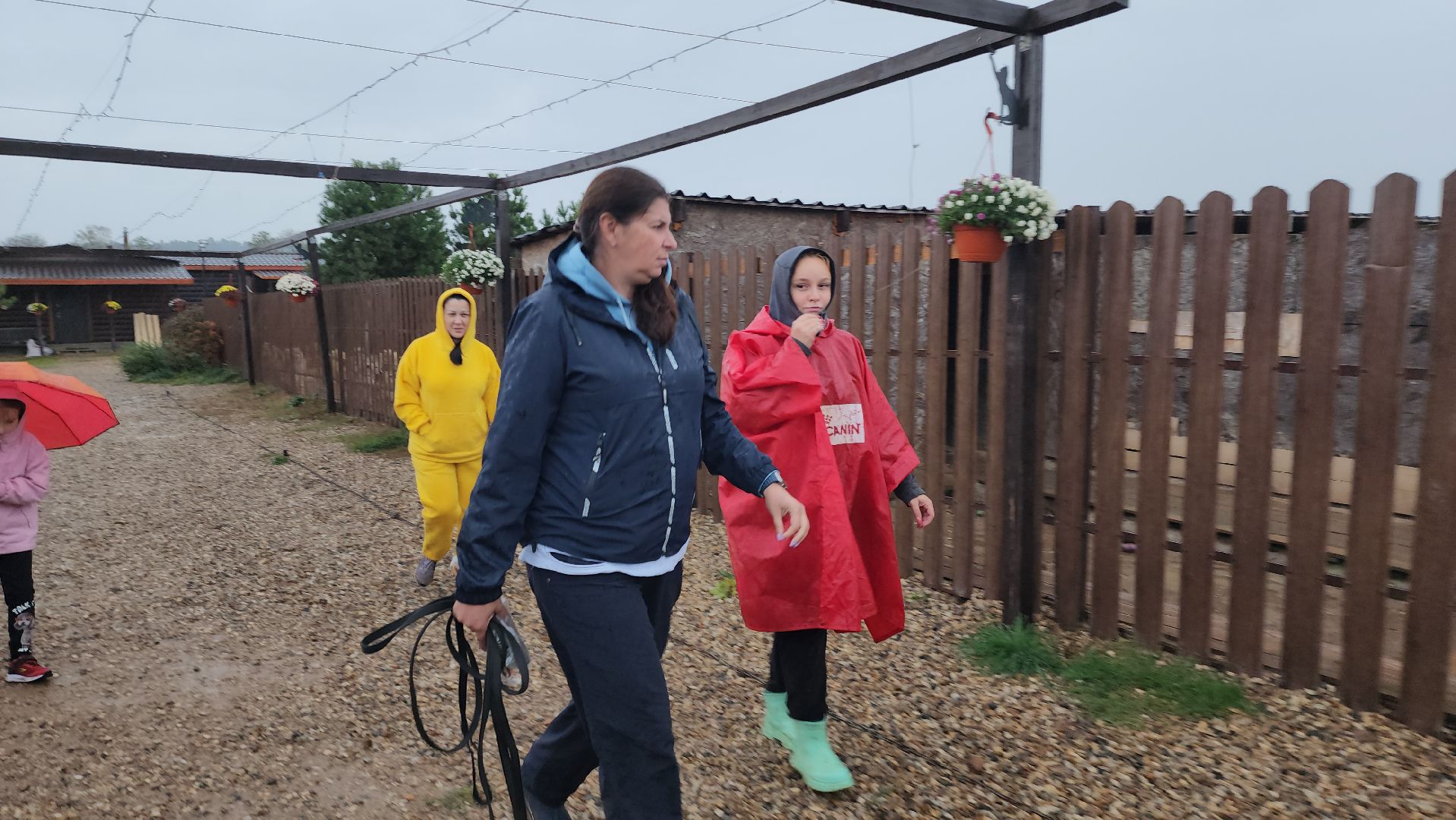 хаски, хаски-деревня, рузская аляска, руза бти, рузский городской округ, московская область, благотворительность, волонтерство,