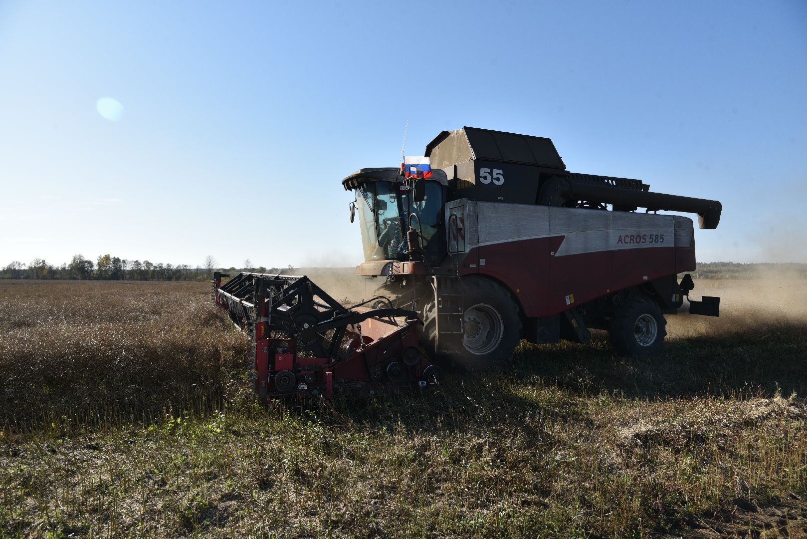 лотошино, сельское хозяйство, уборка урожая, урожай 2024, рапс,