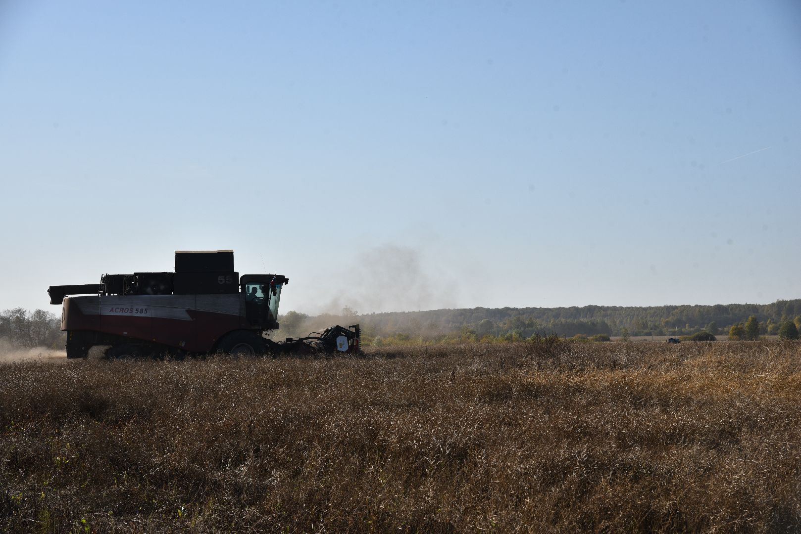 лотошино, сельское хозяйство, уборка урожая, урожай 2024, рапс,