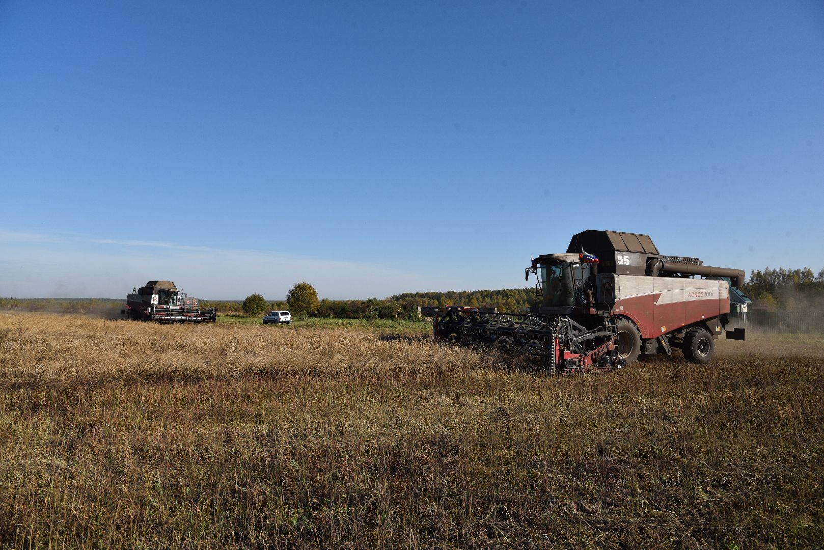 лотошино, сельское хозяйство, уборка урожая, урожай 2024, рапс,