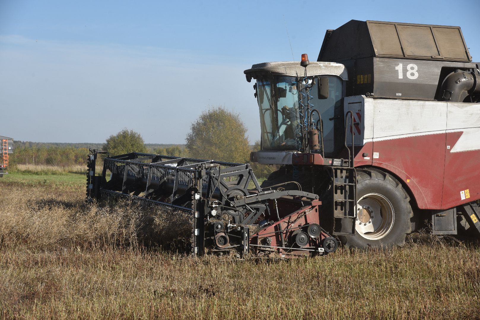 лотошино, сельское хозяйство, уборка урожая, урожай 2024, рапс,