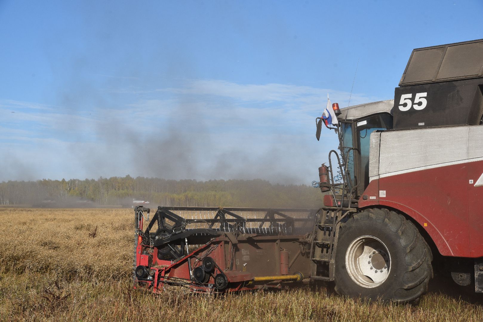 лотошино, сельское хозяйство, уборка урожая, урожай 2024, рапс,