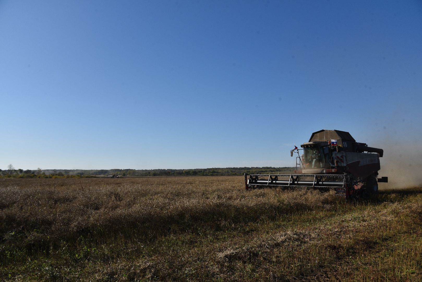 лотошино, сельское хозяйство, уборка урожая, урожай 2024, рапс,