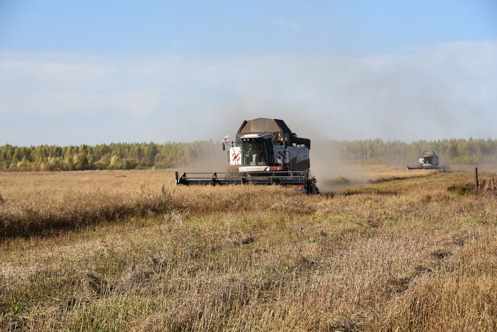 лотошино, сельское хозяйство, уборка урожая, урожай 2024, рапс,