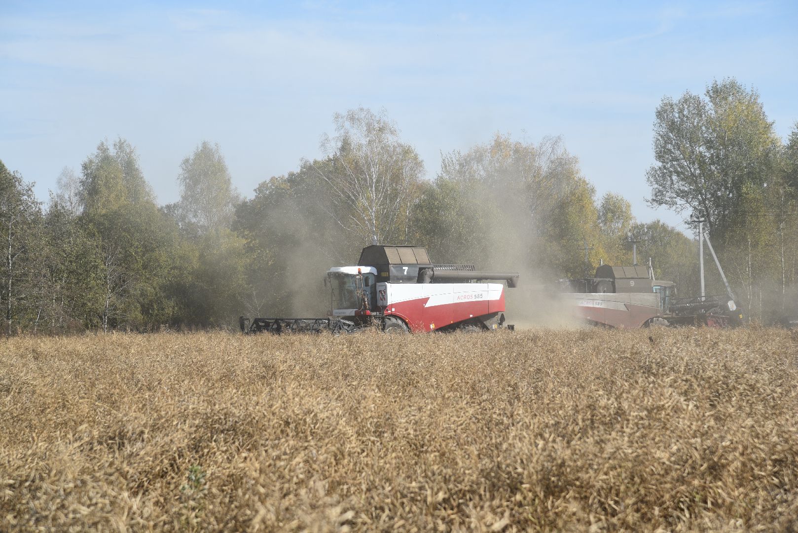 лотошино, сельское хозяйство, уборка урожая, урожай 2024, рапс,