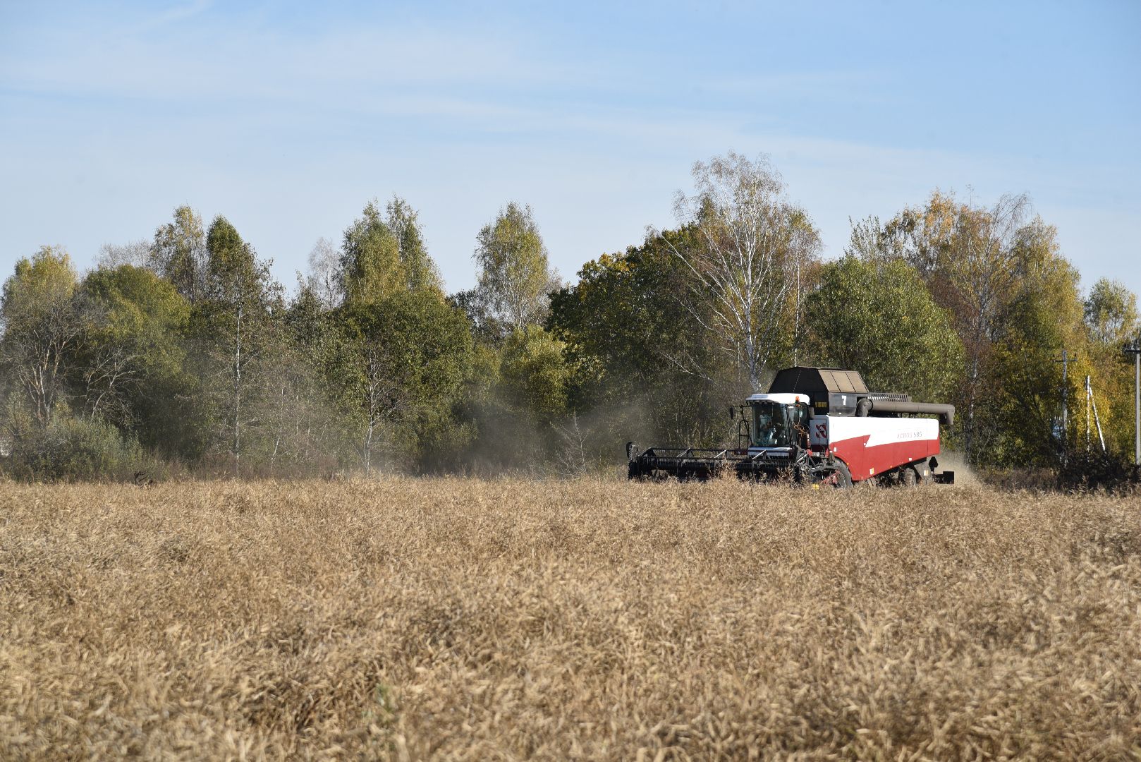 лотошино, сельское хозяйство, уборка урожая, урожай 2024, рапс,