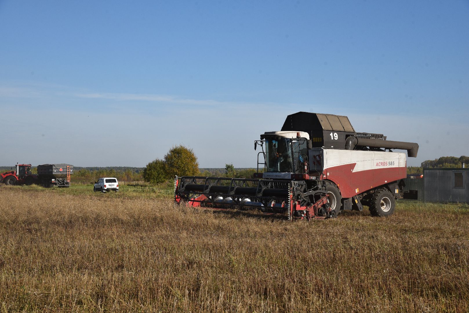 лотошино, сельское хозяйство, уборка урожая, урожай 2024, рапс,