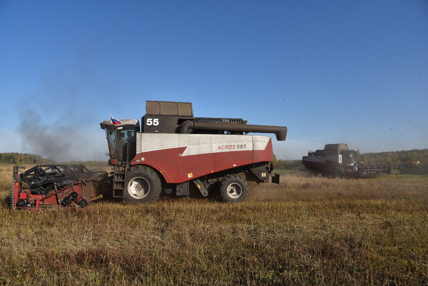 лотошино, сельское хозяйство, уборка урожая, урожай 2024, рапс,